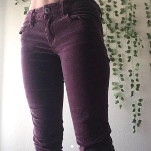 Purple corduroy pants